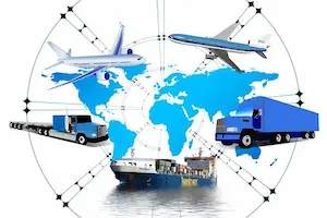 Find export import professionals